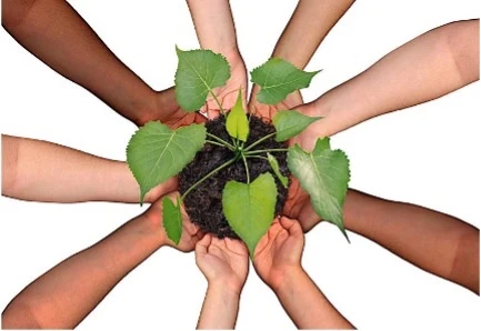 ZONDAG 12 juli - Werkgroep Kerken en Landbouw Fryslan